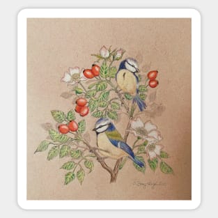 Blue tit on rosehip Sticker